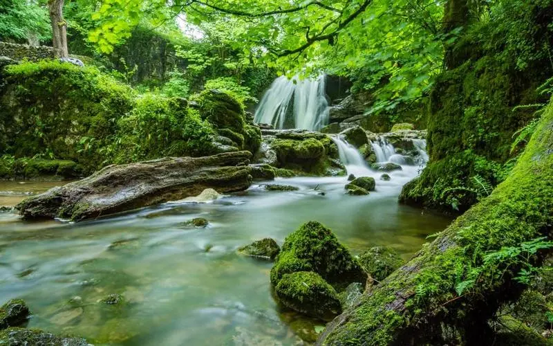 高标准高性能可靠性